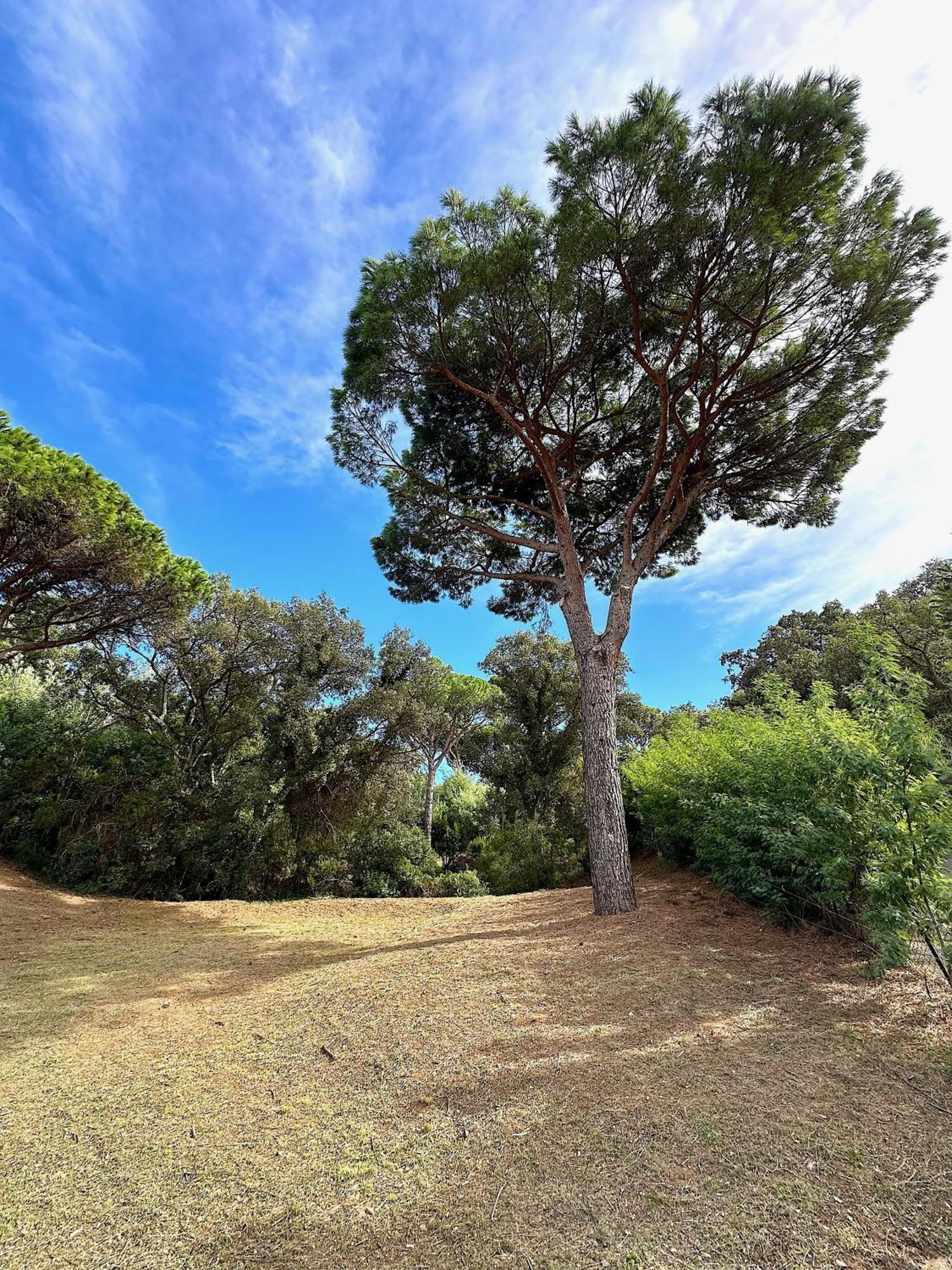 Villa Boca A Gigaro - Avec Vue Et Piscine Chauffee La Croix-Valmer Eksteriør bilde